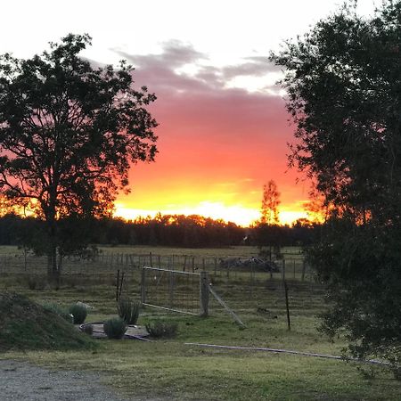 Lovedale Red Gum Cottage Exterior foto