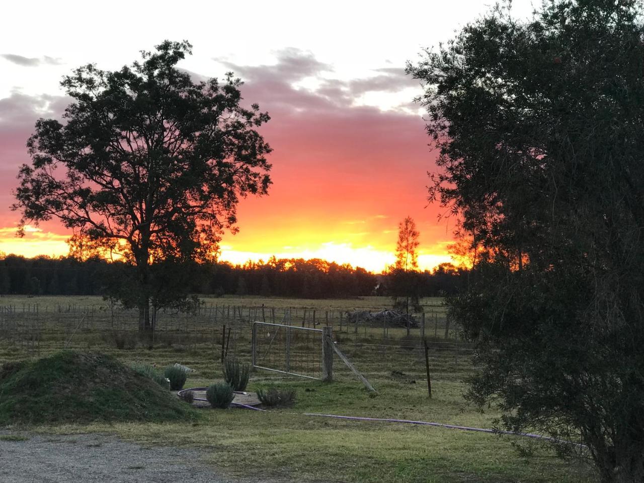 Lovedale Red Gum Cottage Exterior foto